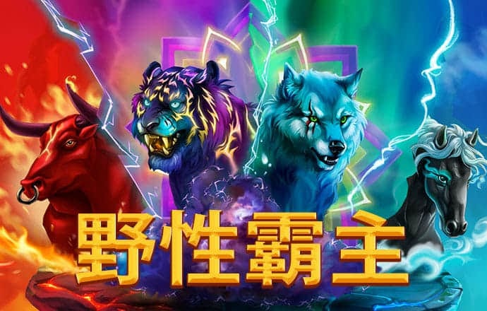 bibo体育官网入口